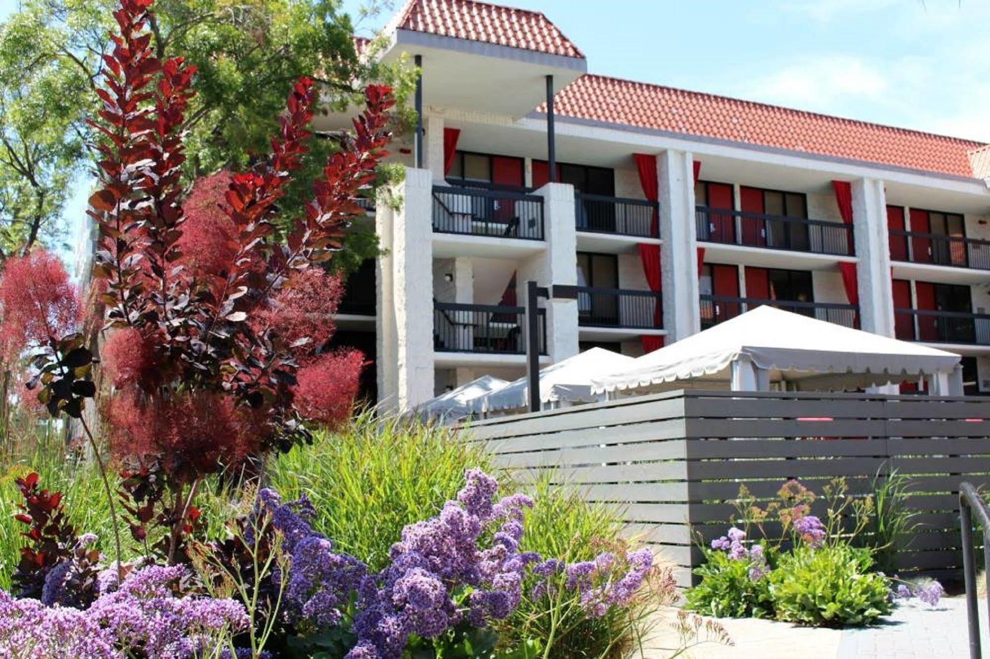 Avatar Hotel, a Joie de Vivre Hotel Santa Clara Buitenkant foto